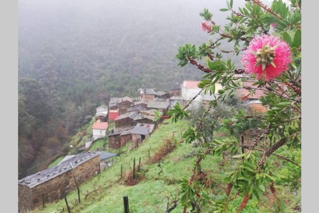 Casa Do Avo Alvaro - Refugio Do Rei Casal do Rei  Exteriér fotografie